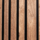Basralocus forestlines